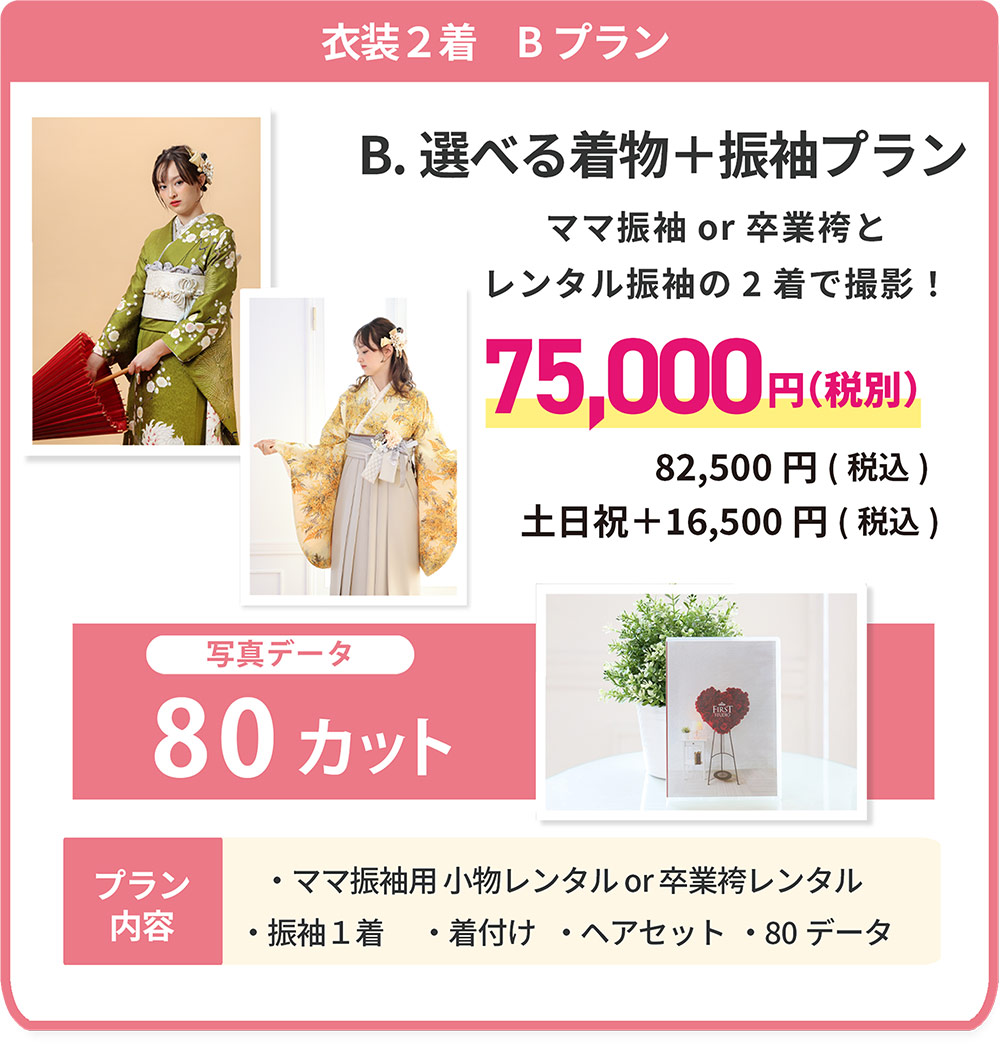 衣装2着 Bプラン
